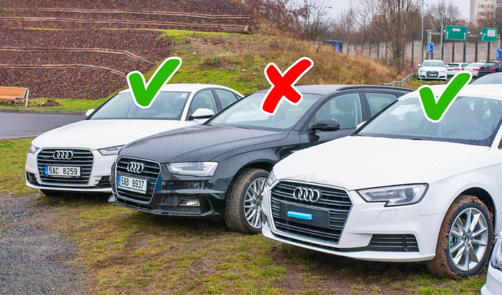 Ở Turkmenistan, màu đen được cho là màu xui xẻo trong khi màu trắng là màu của hạnh phúc. Vì điều này mà xe ô tô đen bị cấm tại đất nước này từ năm 2018. Những người đã trót sở hữu một chiếc xe ô tô màu đen từ trước luật cấm phải thay đổi màu chiếc xe của mình.