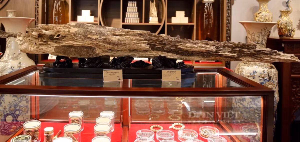 'Thanh bao kiem' tram huong quy hiem, tien ty chua chac mua duoc-Hinh-3