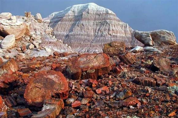 Nói về nguồn gốc của loại gỗ hóa ngọc, các chuyên gia cho biết, sau tác động của một trận phun trào núi lửa, những thân gỗ này bị chôn vùi trong nham thạch hàng triệu năm dưới lòng đất.