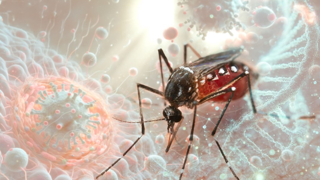 Đáng chú ý nhất là sốt rét - một bệnh nhiễm ký sinh trùng chỉ do muỗi cái lây truyền và đặc biệt phổ biến ở Châu Phi, nơi phần lớn nạn nhân là trẻ em từ 5 tuổi trở xuống 