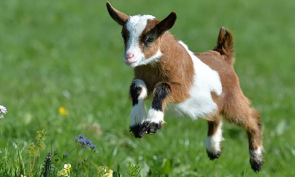  Những cuộc cãi vã là điều không thể tránh khỏi, và những mâu thuẫn giữa hai người giống như một cơn mưa bất chợt trút xuống, khó mà dọn dẹp được. 