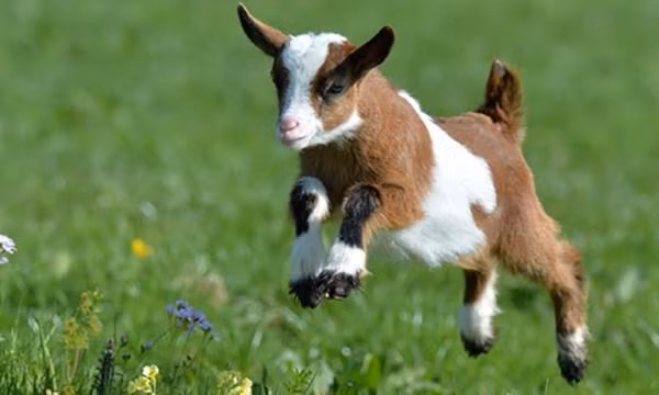  Những cuộc cãi vã là điều không thể tránh khỏi, và những mâu thuẫn giữa hai người giống như một cơn mưa bất chợt trút xuống, khó mà dọn dẹp được. 