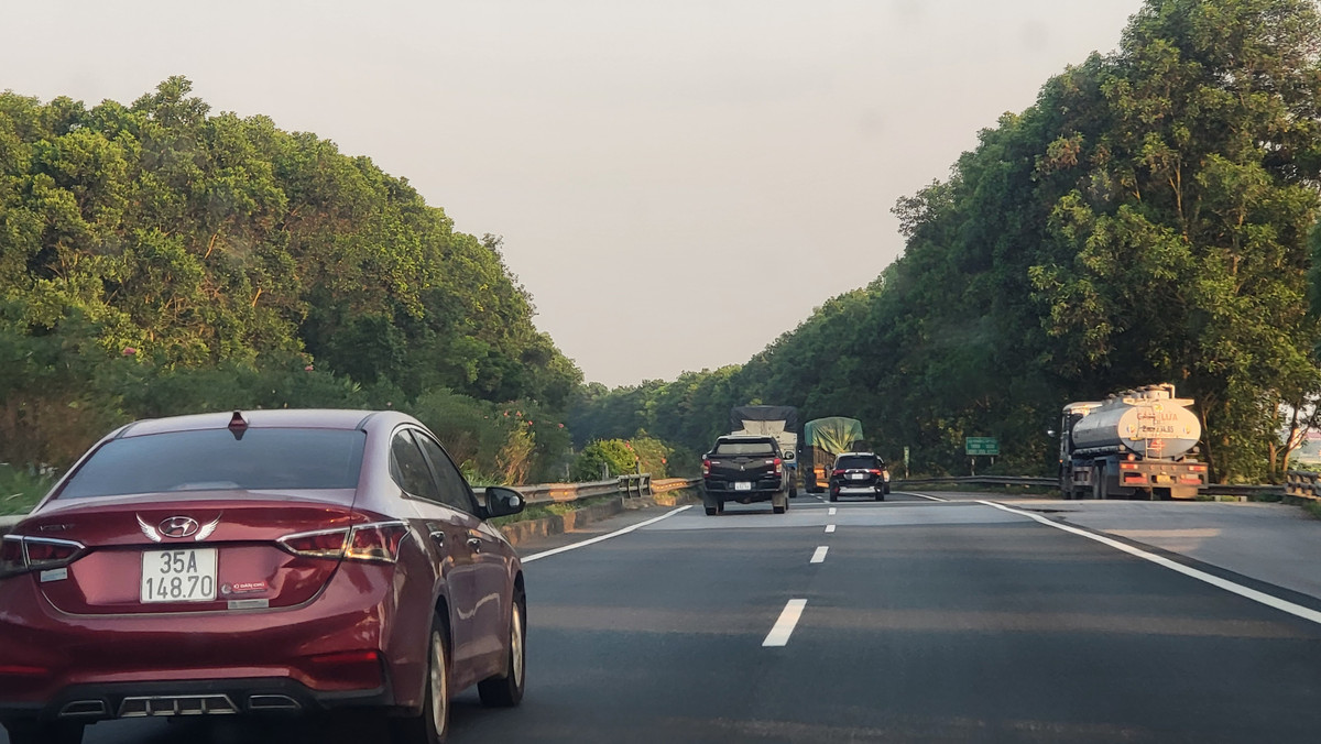 Ly do 100.000 cay xanh tren cao toc Cau Gie - Ninh Binh bi chat-Hinh-3