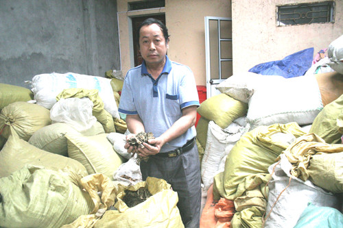 Thuốc chữa xương khớp là các cây, lá sẵn trên rừng.