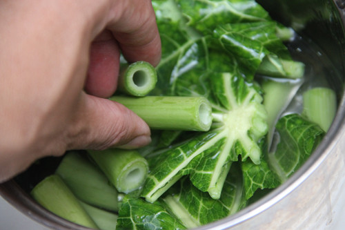 Tàu lá đu đủ chữa bệnh ung thư.