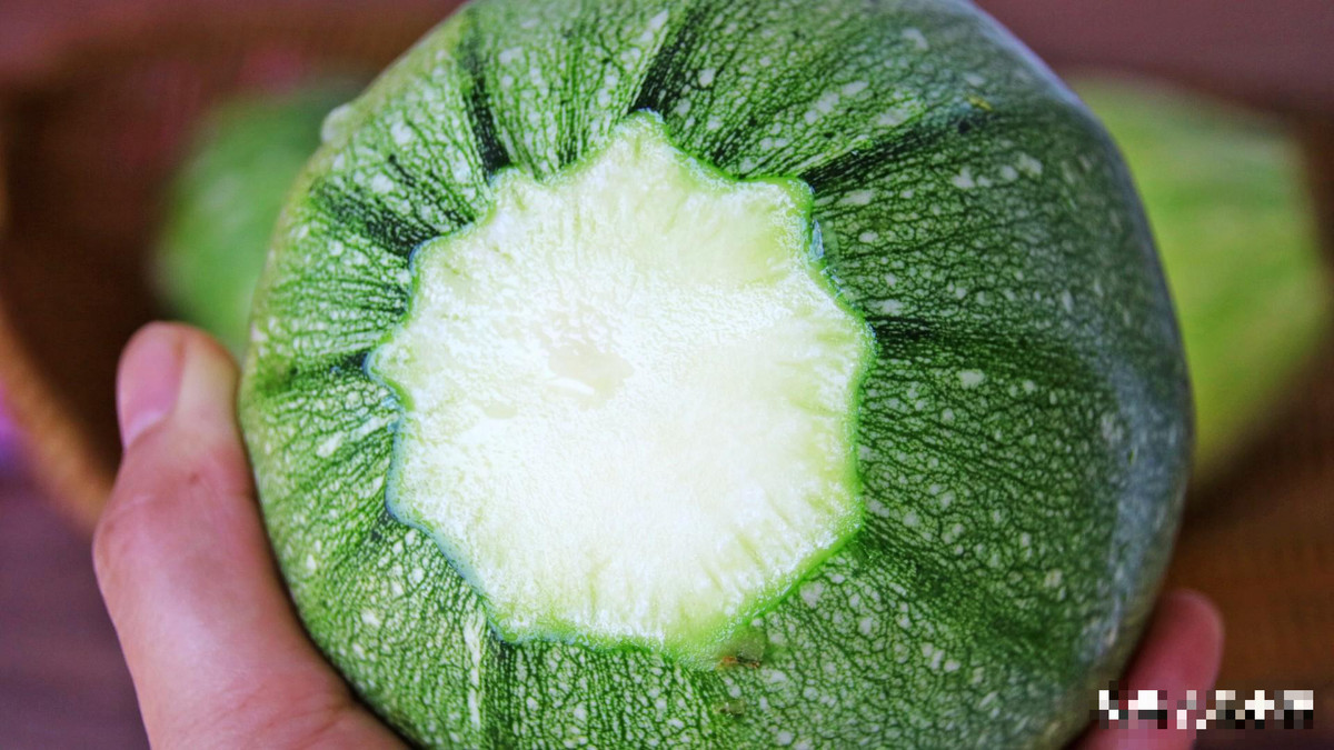 Hơn nữa, giá trị dinh dưỡng của bí ngô non không thua kém bí ngô già. Hàm lượng vitamin C và hàm lượng glucose của loại rau này đặc biệt phong phú, giúp bảo vệ tế bào khỏi tổn thương gốc tự do và làm chậm lão hóa.