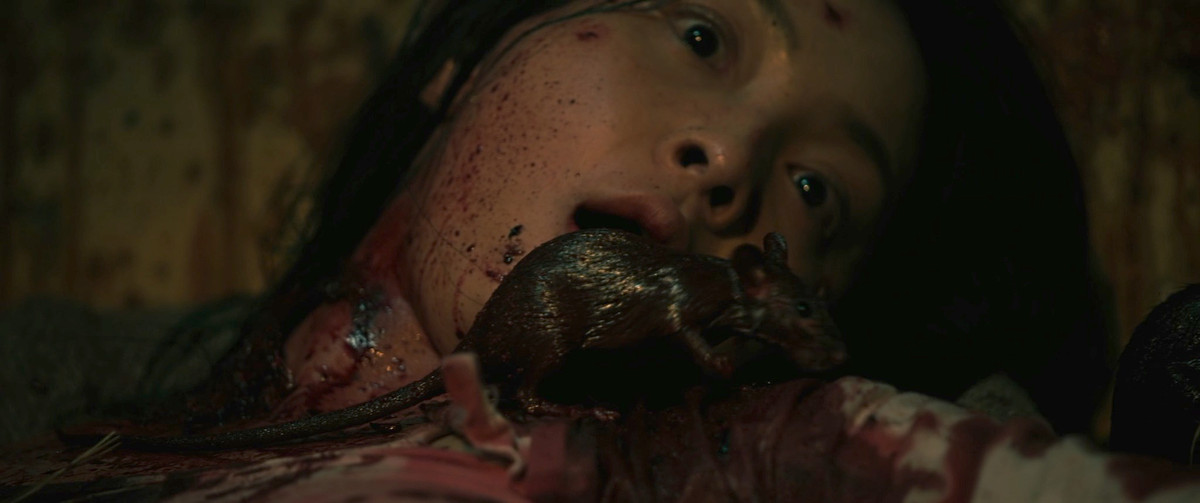 Tram Bui ke chuyen bi doan phim tha 200 con chuot len nguoi-Hinh-3