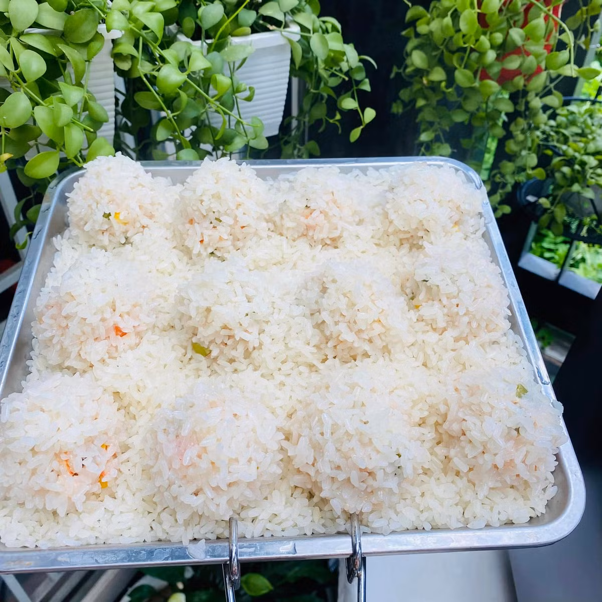 Cach nau xoi vien tom thit cuc ngon, ai cung thich-Hinh-5