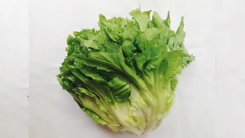 Từ xà lách xoăn giòn tan, xà lách romaine thanh mát cho đến xà lách iceberg giòn ngọt, mỗi loại đều mang đến những hương vị và giá trị dinh dưỡng riêng biệt. Tuy nhiên, chính vì cấu trúc lá xếp lớp, nhiều ngóc ngách, xà lách rất dễ bị nhiễm bẩn bởi trứng giun, sán, vi khuẩn, đe dọa sức khỏe người tiêu dùng.