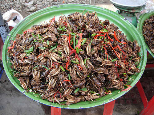 Dế rang xả ớt. Dế rang xả ớt.