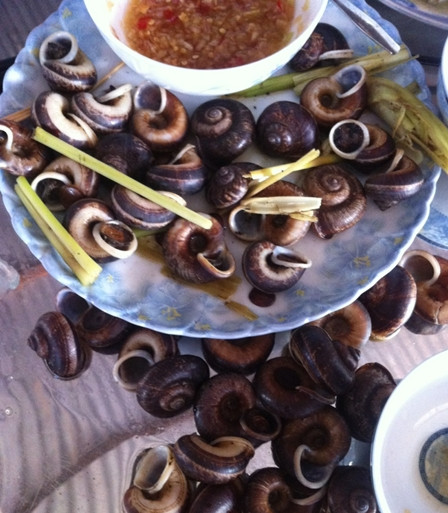 Ngoài những món trên ốc thuốc có thể được làm nộm xào xả ớt.