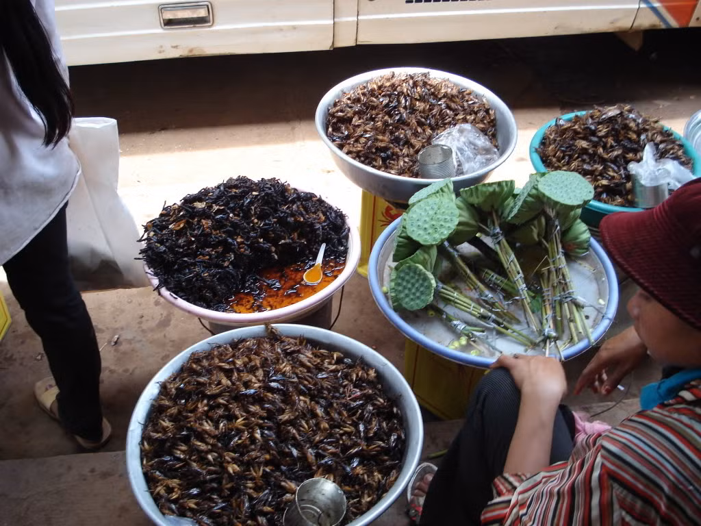 Côn trùng chiên giòn.