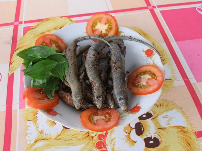 Rắn mối chiên giòn: Rắn mối hay còn gọi là thằn lằn, nhiều cùng quê Việt Nam như Khánh Hòa biến rắn mối thành đặc sản và lập trại nuôi để cung cấp cho thực khách. Tuy nhiên nếu vào mâm nhìn thấy đĩa rắn mối chiên giòn nguyên con khủng khiếp thế kia liệu bạn có đủ dụng cảm để ngồi tới cuối bữa?