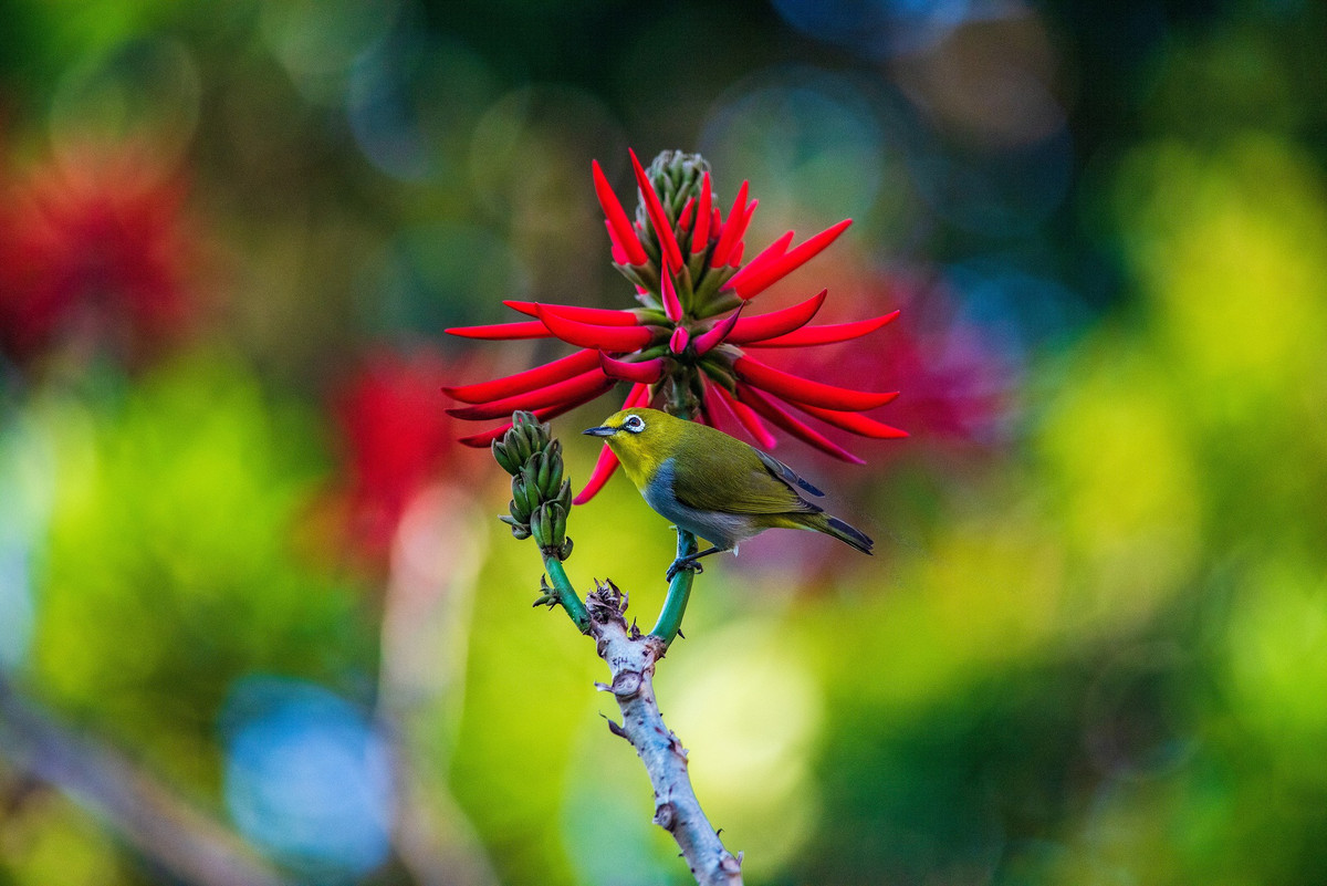 Sinh vào tháng Âm lịch này quyến rũ, khéo léo, cuộc đời suôn sẻ, phú quý - Hình 3 Sinh vao thang Am lich nay quyen ru, kheo leo, cuoc doi suon se, phu quy-Hinh-3