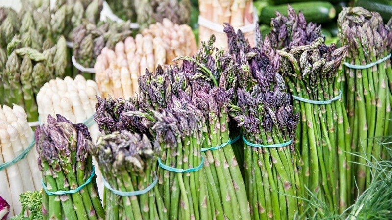 Mang tay dang vao mua, chi em toi tap tim mua-Hinh-2