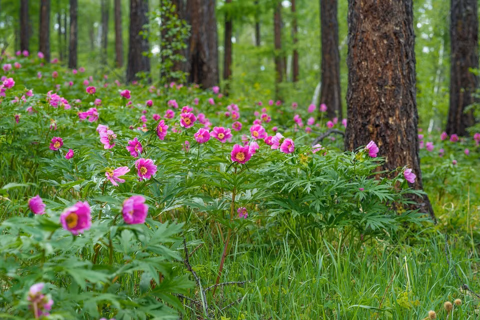 Ai sinh thang Am lich nay truoc cay dang sau ngot bui, cuc thang tien-Hinh-3