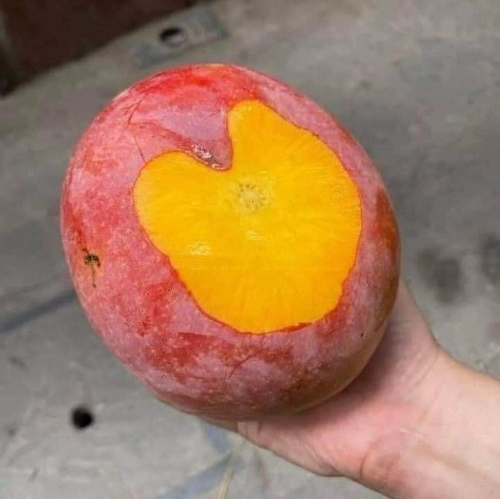 Xoai Uc rot gia re nhu cho, chi 5.000 dong/kg