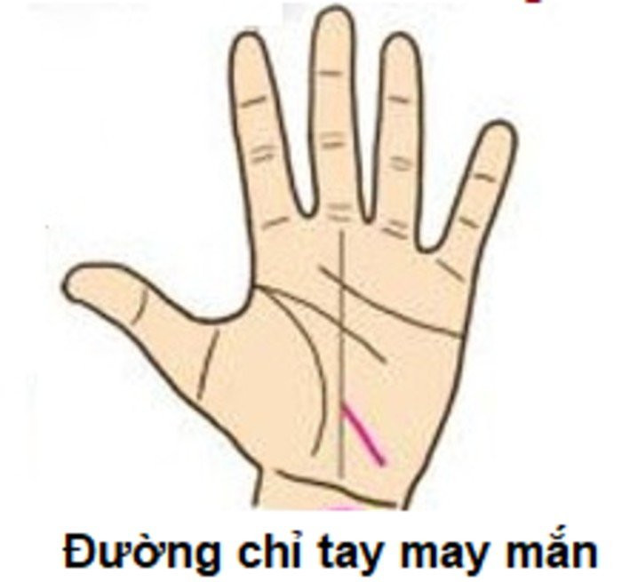 Đặc điểm của những cá nhân có đường chỉ tay may mắn này là làm bất cứ việc gì, họ cũng rất cẩn thận, chu đáo, lo toan vẹn toàn. Tuy nhiên với khát vọng lớn về địa vị, họ cũng có thể sẵn sàng bỏ qua lợi ích của người khác để dành lấy thành tích cho bản thân.