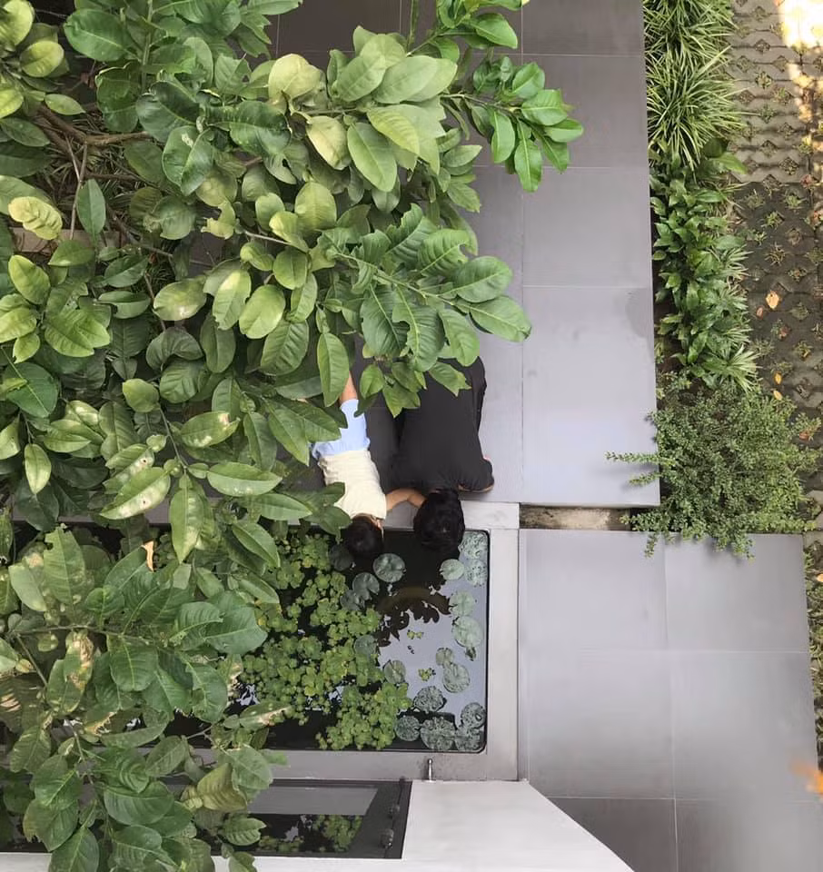 Ngan ngo truoc khu vuon bi mat trong ngoi nha mau trang o Hai Phong-Hinh-10