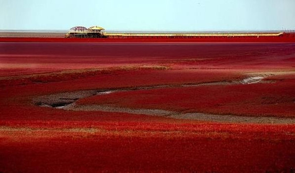 Đây vốn dĩ là một khu rừng bảo tồn, là nơi trú ngụ của một hệ sinh thái động thực vật phong phú, trong đó nổi bật nhất là loài cỏ đỏ có tên gọi là sueda. Chúng bắt đầu mọc và phát triển trong thời gian tháng 4 hoặc tháng 5 và vẫn giữ sắc xanh lá cây trong suốt mùa hè.