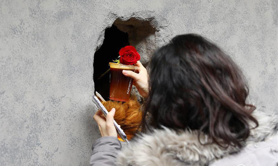 Đằng sau quán cà phê là câu chuyện truyền cảm hứng. Wang Haiqing, một trong ba người sáng lập quán, cho biết họ mở cửa hàng không chỉ vì sở thích chung về cà phê mà còn với mục đích mang lại nhiều cơ hội việc làm hơn cho người khuyết tật.