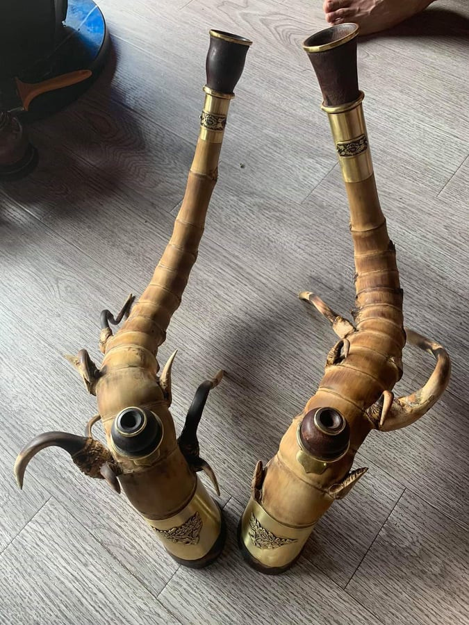 Bo suu tap dieu cay doc nhat vo nhi, co chiec gan 40 trieu dong-Hinh-2