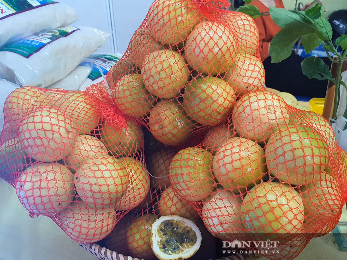 Ong nong dan tinh Soc Trang trong chanh leo la, an ngot mat-Hinh-4