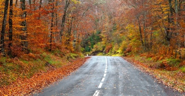 Sự thật thú vị sau loạt hình ảnh ai nhìn cũng thấy quen - Hình 8 Su that thu vi sau loat hinh anh ai nhin cung thay quen-Hinh-8