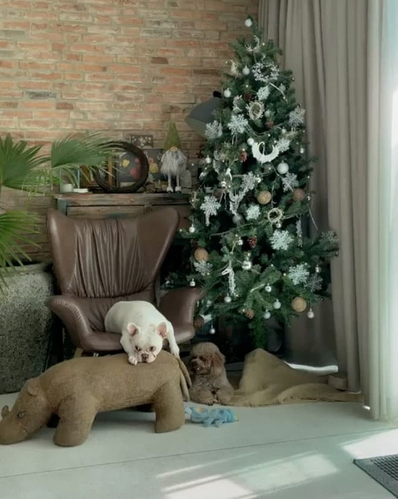 Châu Bùi cũng nhá hàng "sương sương" cây thông do cô trang trí.