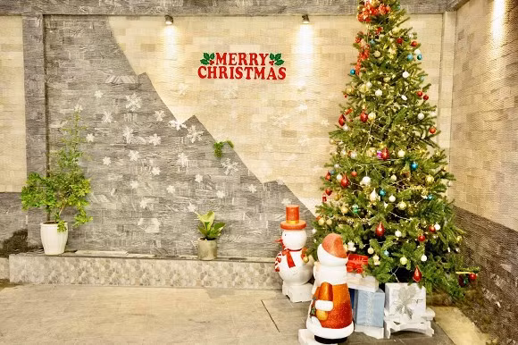 Người đẹp Khánh My dựng hẳn hai cây thông với màu sắc khác biệt tại ngôi nhà của mình.