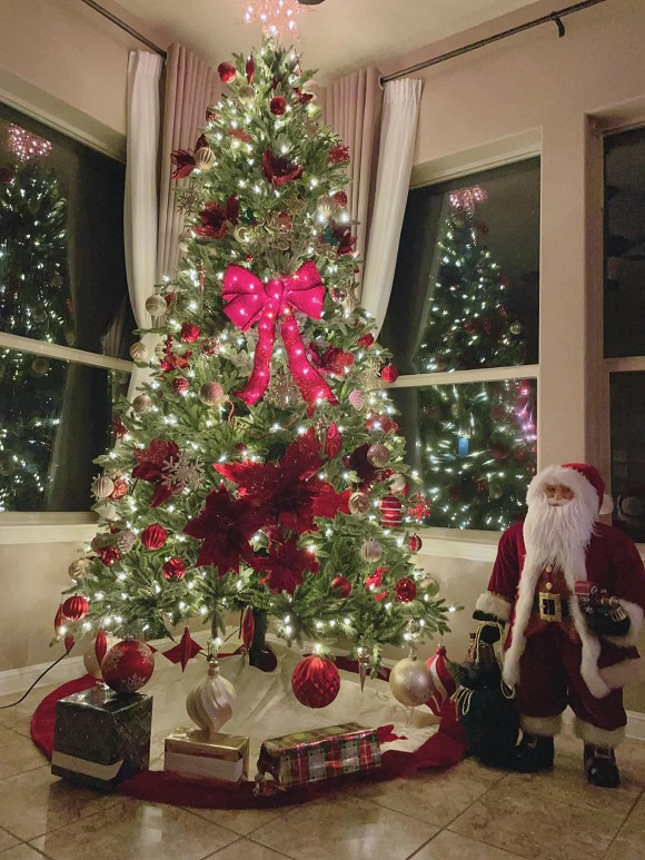 Cây thông nhà Hà Anh lung linh khi đêm về.