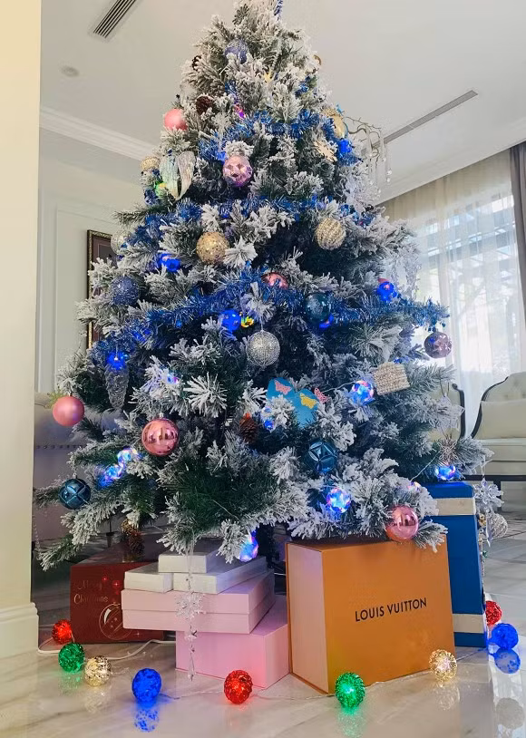 Sao Viet va hoi nghien nha goi y cach trang tri cay thong Noel