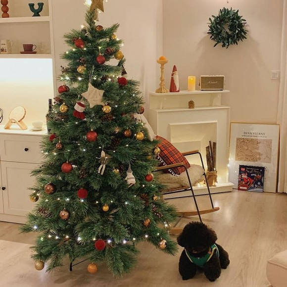 Nhìn qua cây thông nhà Kiên Hoàng - Heo Mi Nhon để thấy Noel đang rất gần rồi.