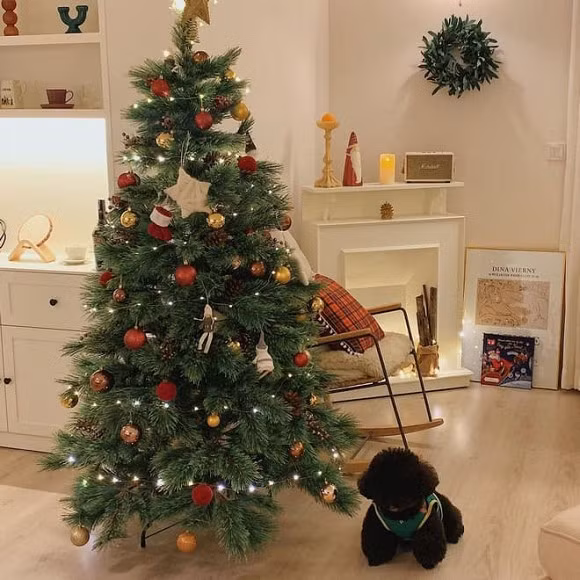 Nhìn qua cây thông nhà Kiên Hoàng - Heo Mi Nhon để thấy Noel đang rất gần rồi.