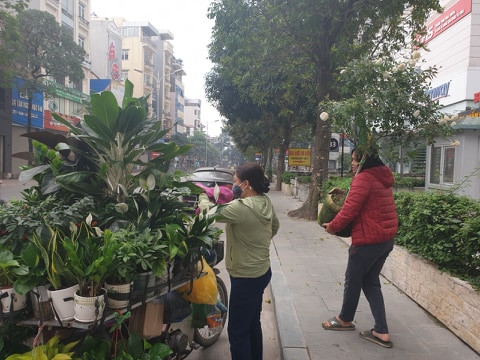 Cach ly chong dich: Them mot nghe doanh thu tang vot-Hinh-3