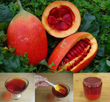 Cong dung lam dep tuyet voi cua dau gac khong phai ai cung biet