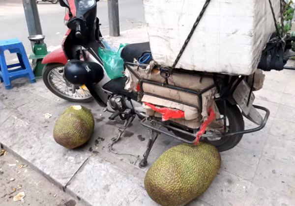 Cuoi tuan tim mua mit que, 