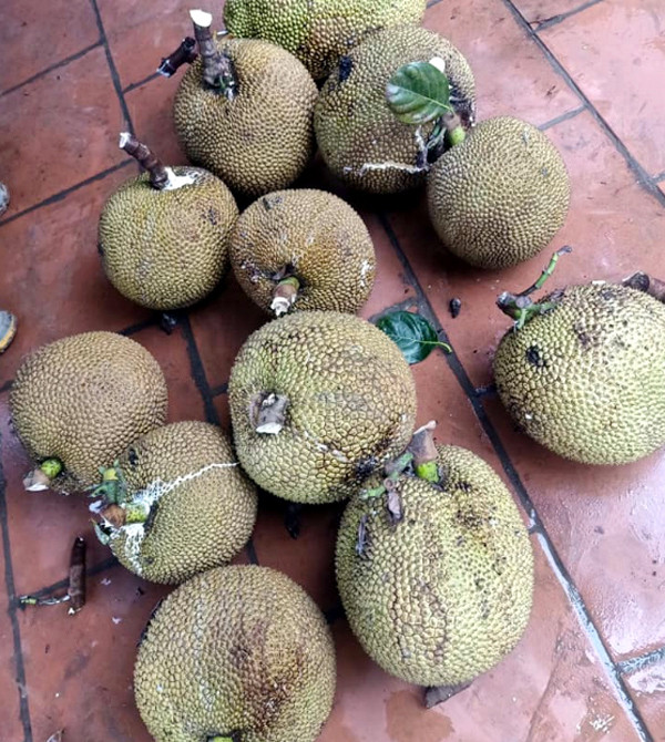 Cuoi tuan tim mua mit que, 