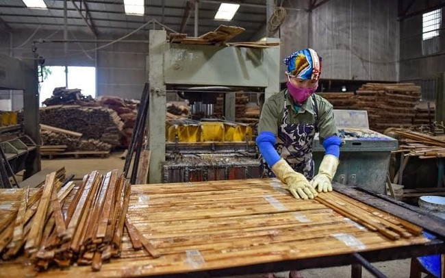 Ru vo ve que lap nghiep voi tre luong, kiem chuc ty moi nam-Hinh-3