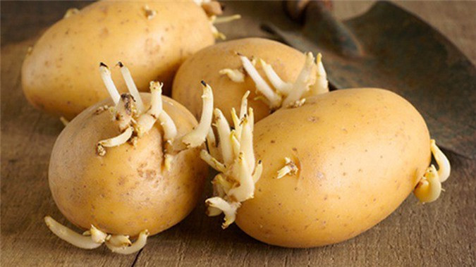 4 loai rau cu chua doc to gay ung thu, nhieu nguoi van an