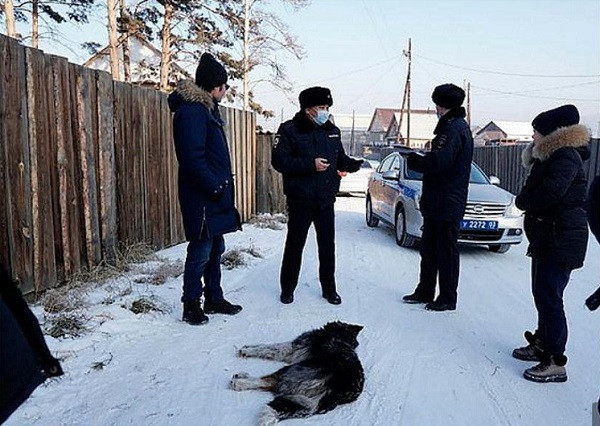 Thuong tam co gai 20 tuoi nguy kich vi bi cho hoang tan cong-Hinh-2