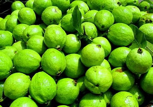 Vỏ ổi. Để bổ sung vitamin C làm đẹp da là khi ăn ổi hãy ăn cả vỏ. Ngoài ra, ổi cũng cung cấp một hàm lượng chất xơ dồi dào cho cơ thể. Đặc biệt trong quả ổi có chứa chất lycopene chống oxy hóa, giúp ngăn ngừa bệnh ung thư tuyến tiền liệt rất hiệu quả.