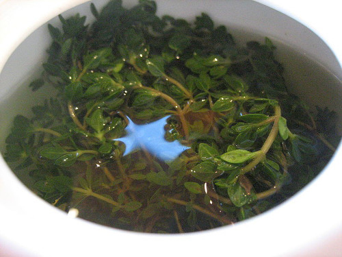 Trà Lemon Balm, Địa Trung Hải. Trà có tác dụng chữa bệnh đối với sốt và các vấn đề khó tiêu. Lemon Balm làm giúp cải thiện tâm trạng, làm bạn hưng phấn hơn, ngăn ngừa trầm cảm và ác mộng, giúp cải thiện khả năng tập trung. Loại trà này có nhiều công dụng trị bệnh, tốt cho cả trẻ em. Trà lemon balm có thể uống nóng hoặc cho thêm với đá lạnh, nước cốt chanh và mật ong.