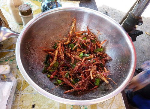 Châu chấu. Đây là một món ăn phổ biến ở Châu Phi, Trung Quốc, Trung Đông và Mexico. Ở Mexico, người ta thường luộc, chiên hoặc thêm châu chấu vào một số món ăn khác. Ở Trung Quốc, châu chấu thường được ướp với nước sốt, còn ở Châu Phi họ thường nấu súp.