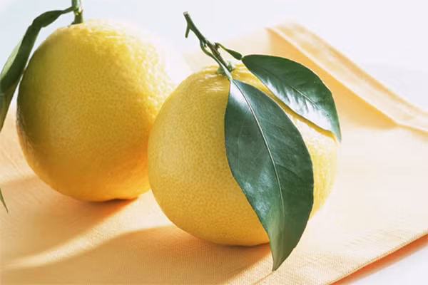 Họ sẽ ngắm nhìn 5 cô và đánh giá sự quyến rũ ngoại hình theo thang điểm từ 1 đến 5. Kết quả thật bất ngờ, những người đàn ông có địa vị kinh tế xã hội thấp đánh giá những bộ ngực to là quyến rũ hơn so với những người đàn ông có địa vị trung bình.