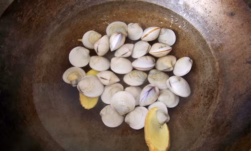 Bước 3: Đổ ngao vào nồi và thả vào đó vài lát gừng, sả cho bớt tanh, luộc đến khi ngao mở miệng.