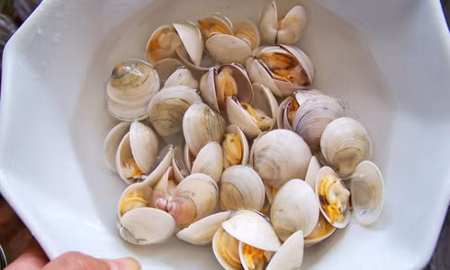 Bước 4: Vớt số ngao ra bát để riêng, nước ngao giữ lại đổ ra một chiếc bát khác.
