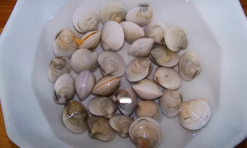 Để làm món ngao hấp kiểu Thái, bạn cần có những nguyên liệu sau: 1 kg ngao, nước luộc ngao, hành, ớt, gừng, sả, tỏi băm. Bước 1: Ngao sau khi mua về ngâm nước cho nhả cát và rửa sạch.