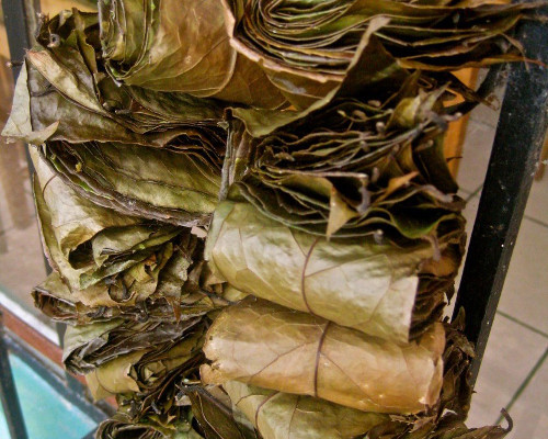 Trà Guayusa, Ecuador. Trà được chiết xuất từ lá cây Guayusa. Đây là loài cây được trồng trong rừng ở Ecuador. Guayusa chứa axit amin, chất chống oxy hóa, và các vitamin, do đó trà Guayusa giúp tăng cường năng lượng, chống mệt mỏi, giúp tinh thần nhanh nhẹn. Nó cũng có tác dụng gảm đau đầu và trị cảm lạnh.