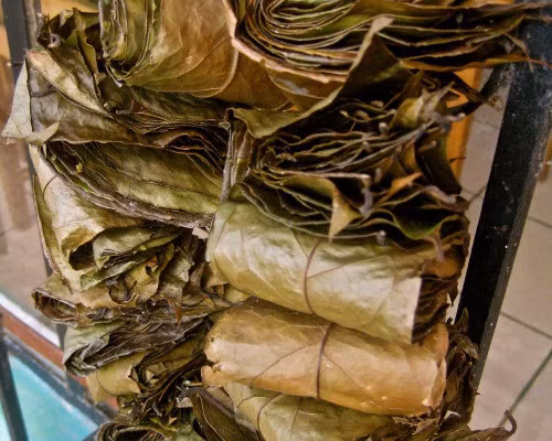 Trà Guayusa, Ecuador. Trà được chiết xuất từ lá cây Guayusa. Đây là loài cây được trồng trong rừng ở Ecuador. Guayusa chứa axit amin, chất chống oxy hóa, và các vitamin, do đó trà Guayusa giúp tăng cường năng lượng, chống mệt mỏi, giúp tinh thần nhanh nhẹn. Nó cũng có tác dụng gảm đau đầu và trị cảm lạnh.